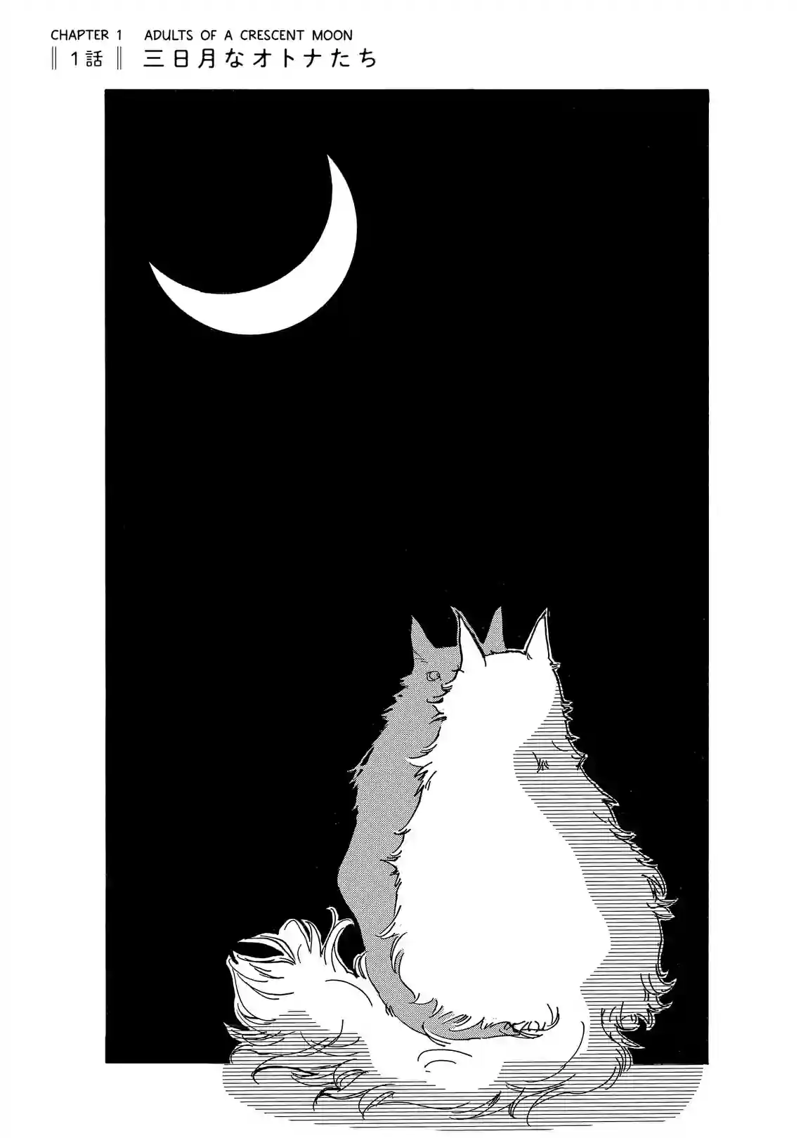 Crescent Moon and a Cat - หน้า 3
