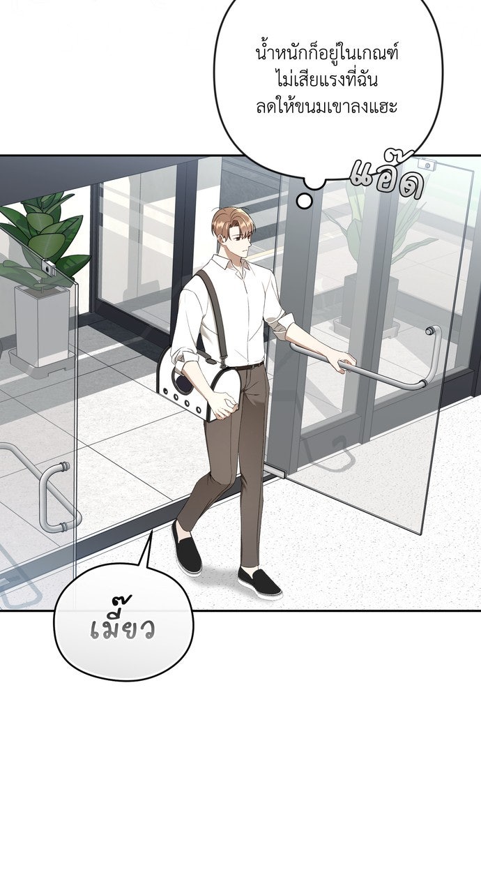 ภาวะพึ่งพาของนิวบี้กับโอลบี้ - หน้า 33