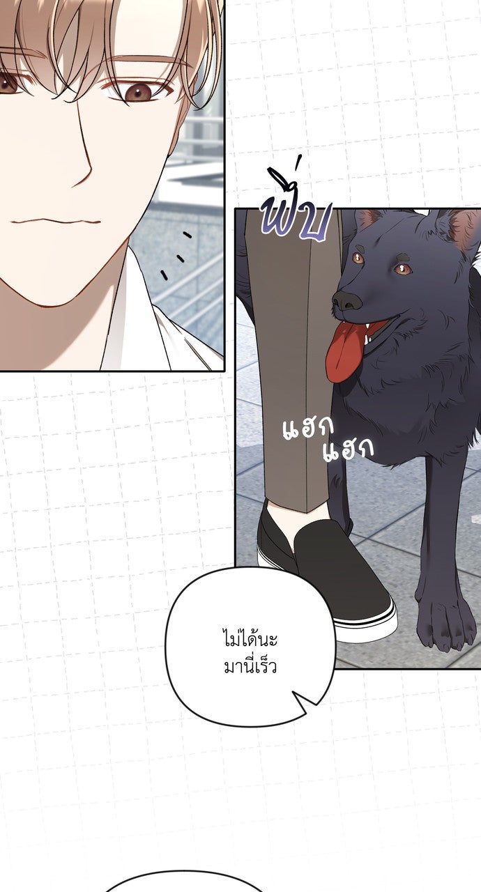 ภาวะพึ่งพาของนิวบี้กับโอลบี้ - หน้า 35