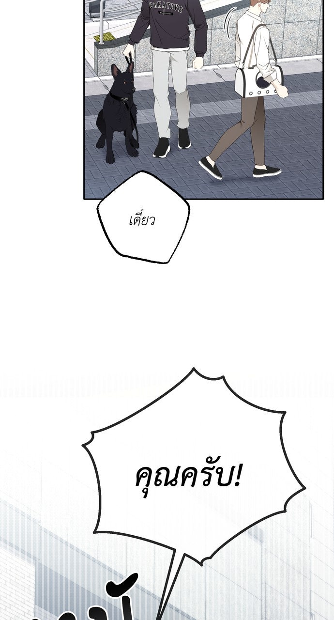 ภาวะพึ่งพาของนิวบี้กับโอลบี้ - หน้า 39