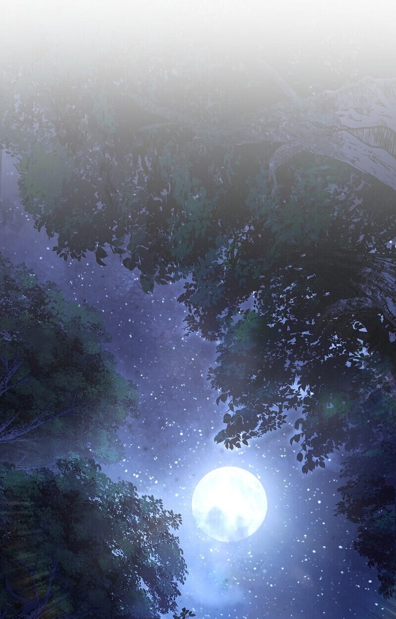 Childhood Friend of the Zenith สหายวัยเยาว์ของข้าแข็งแกร่งที่สุดในใต้หล้า - หน้า 17