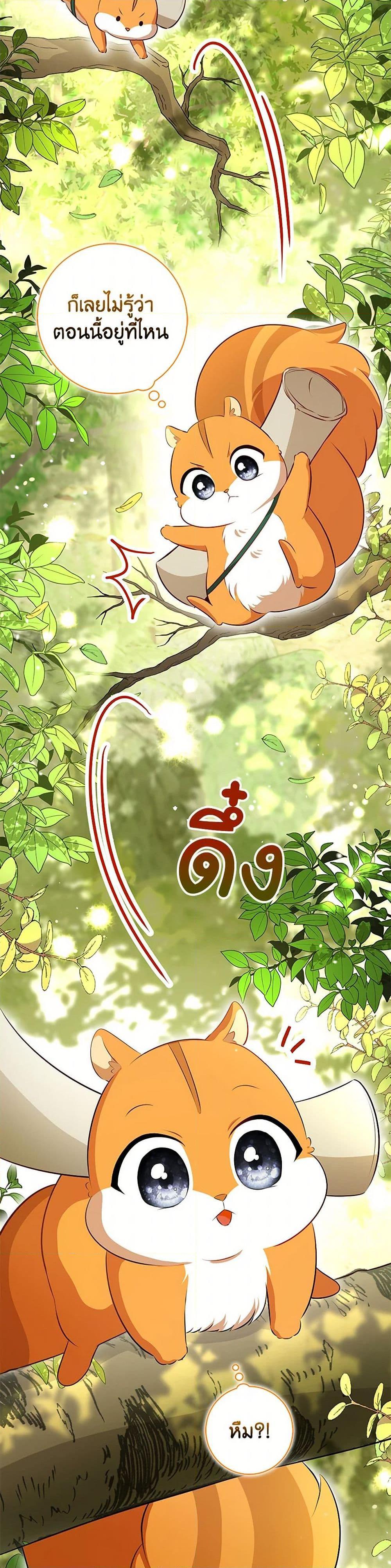 Baby Squirrel Is Good at Everything กระรอกน้อยเก่งกาจทุกอย่างเลย - หน้า 5