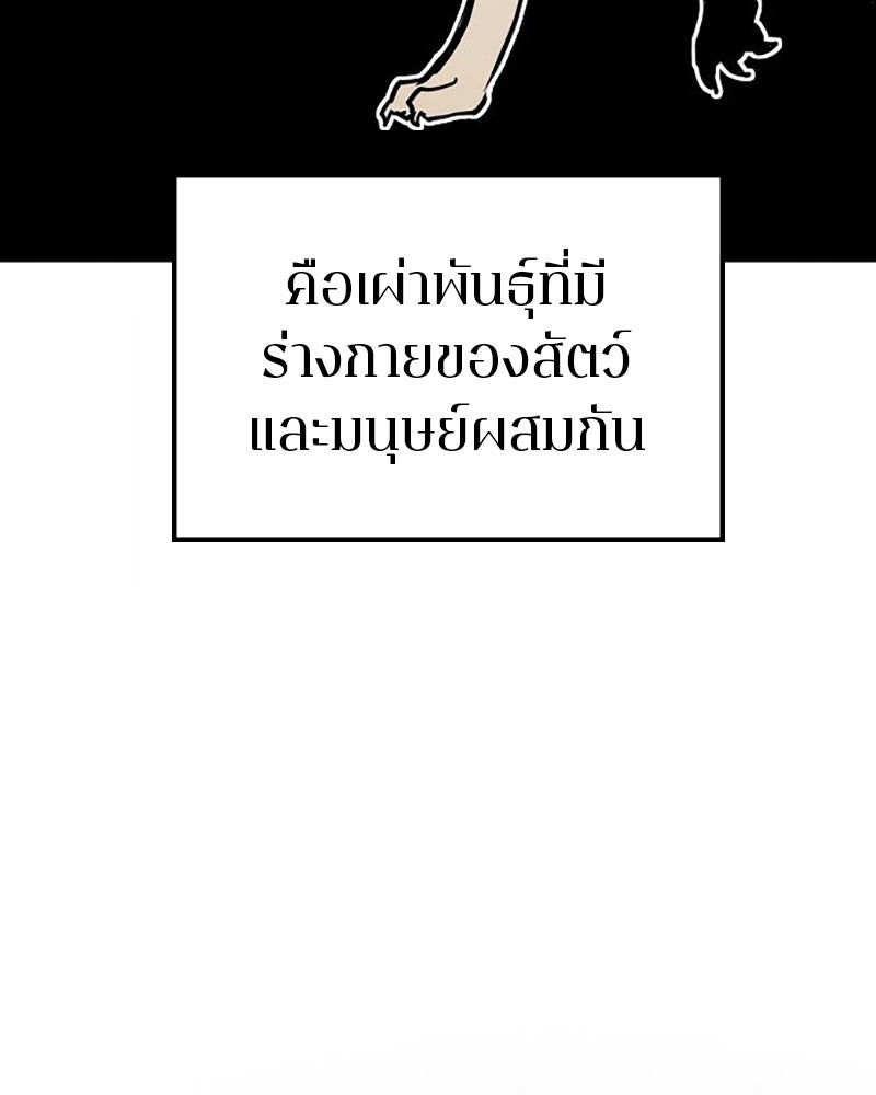 Player - หน้า 3