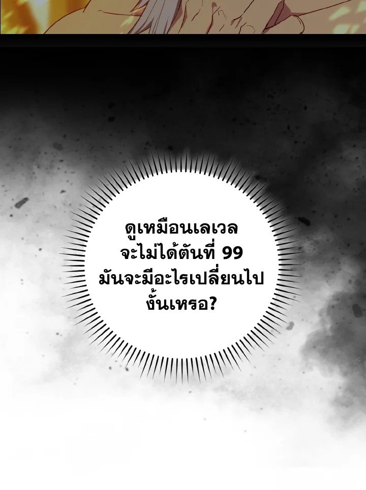 Max Level Player - หน้า 9