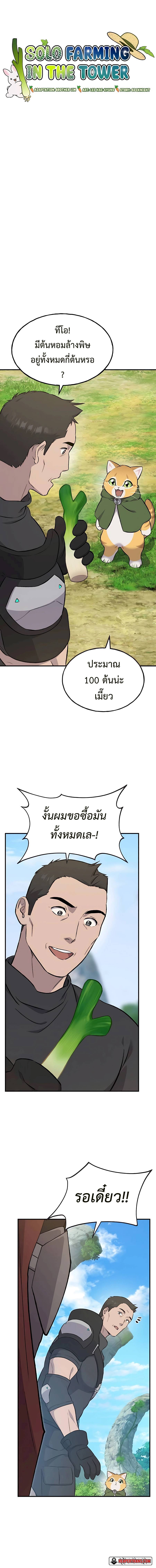 Solo Farming In The Tower - หน้า 2