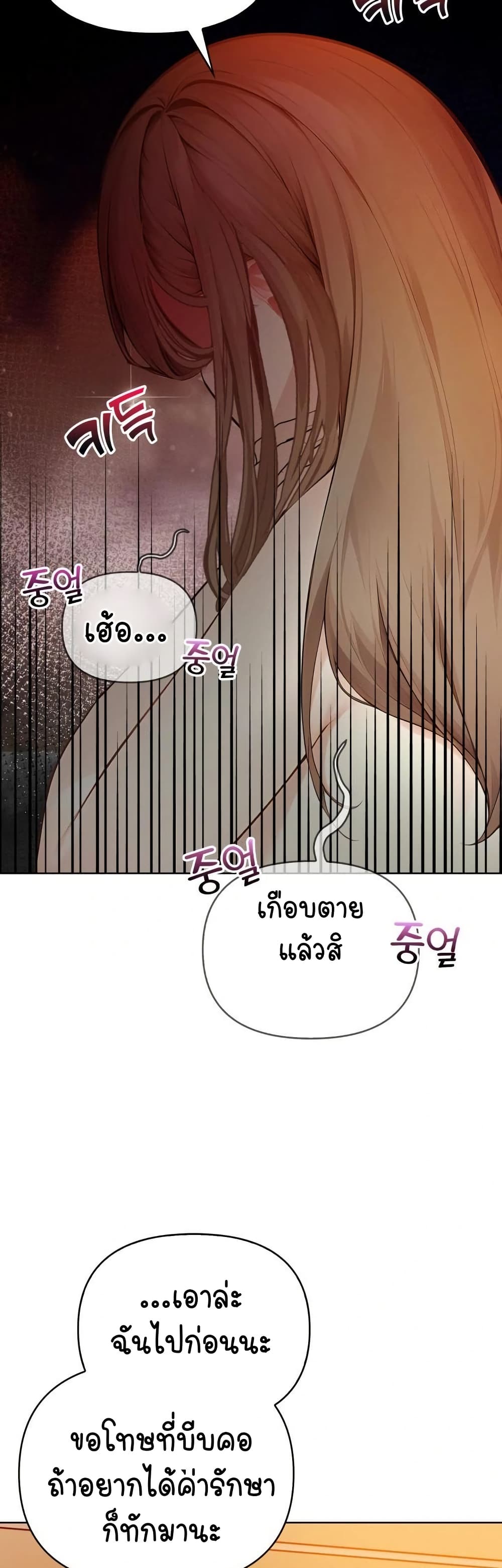 Light Instead of Debt - หน้า 13