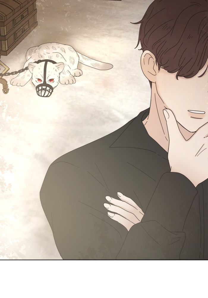 เสือดาวกร้าวใจ - หน้า 13