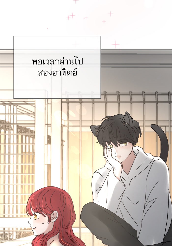 เสือดาวกร้าวใจ - หน้า 13