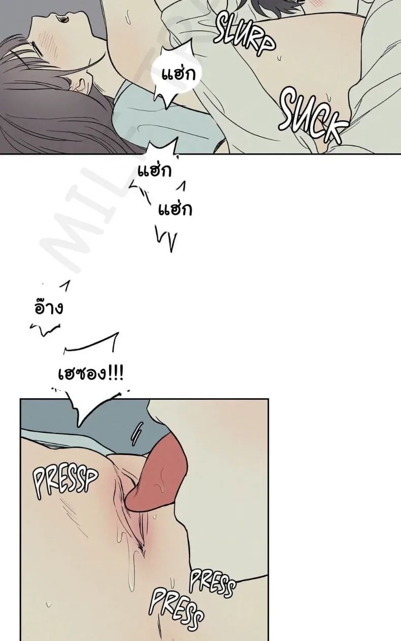 3xLover - หน้า 35
