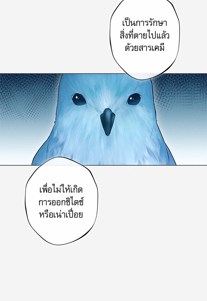 พันธนาการรักเงือกต้องสาป - หน้า 36