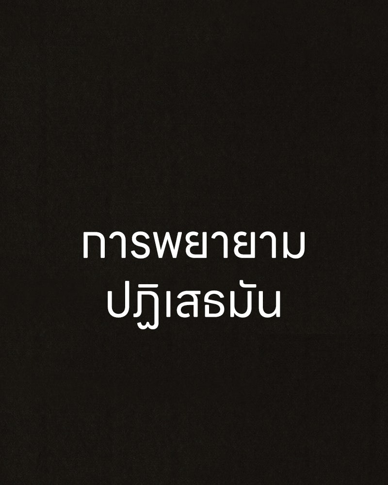 ล่าเลียนแบบ - หน้า 17