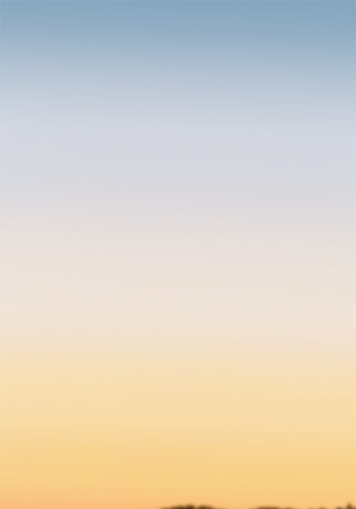 สวนเลม่อนซ่อนรัก - หน้า 1