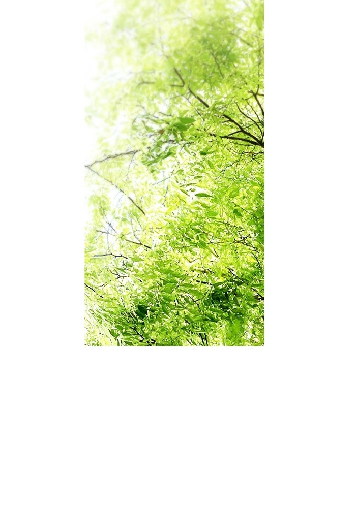 สวนเลม่อนซ่อนรัก - หน้า 120