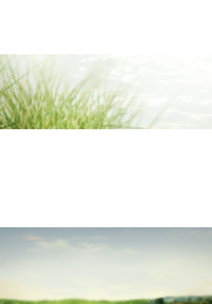 สวนเลม่อนซ่อนรัก - หน้า 154