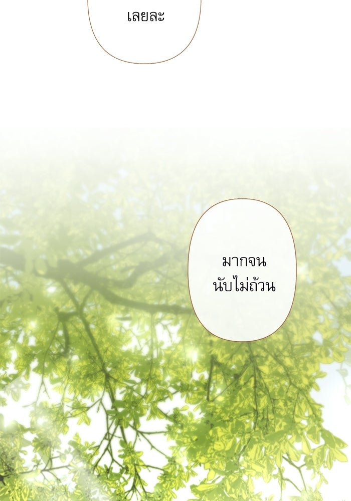 สวนเลม่อนซ่อนรัก - หน้า 44