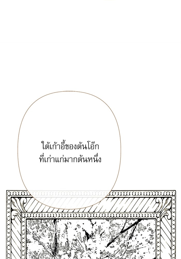 สวนเลม่อนซ่อนรัก - หน้า 29