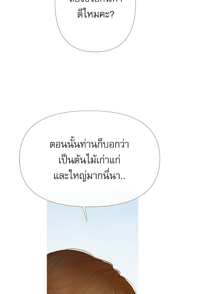 สวนเลม่อนซ่อนรัก - หน้า 17