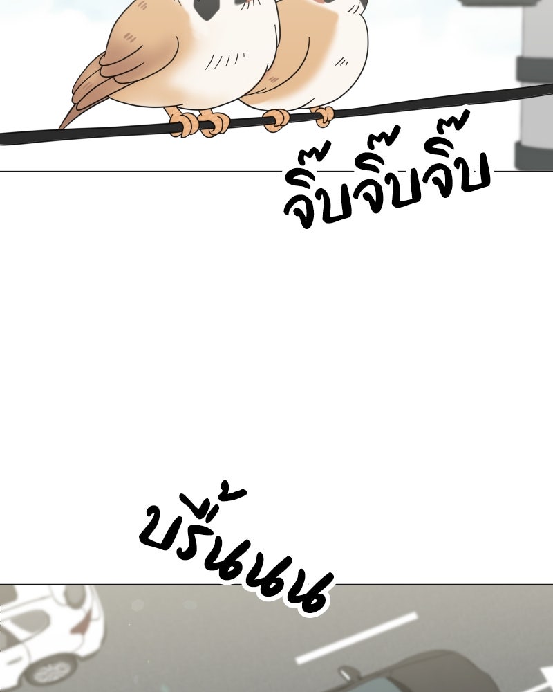 น้องสี่ขาเจ้ามารุ - หน้า 2
