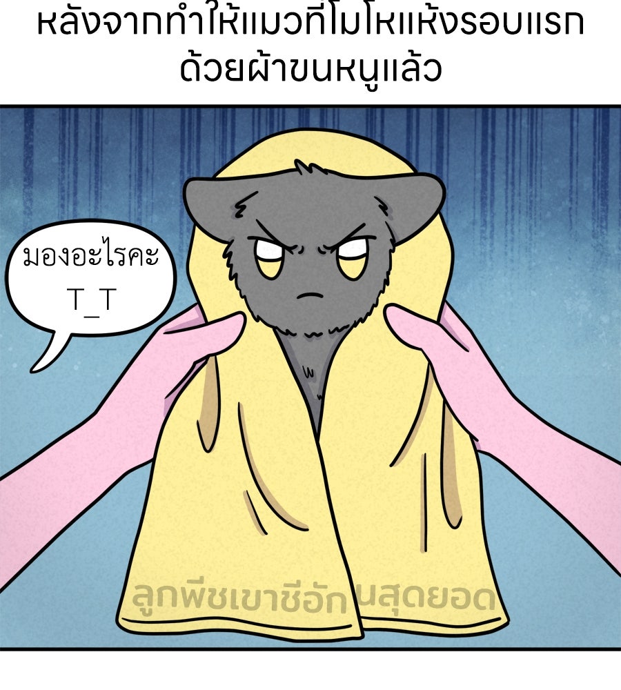 ซับโชสู้โว้ย! - หน้า 32