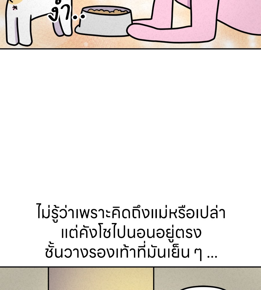 ซับโชสู้โว้ย! - หน้า 22