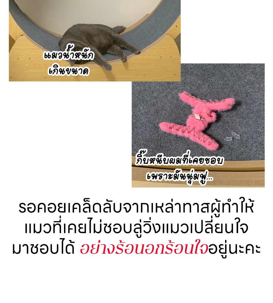 ซับโชสู้โว้ย! - หน้า 40