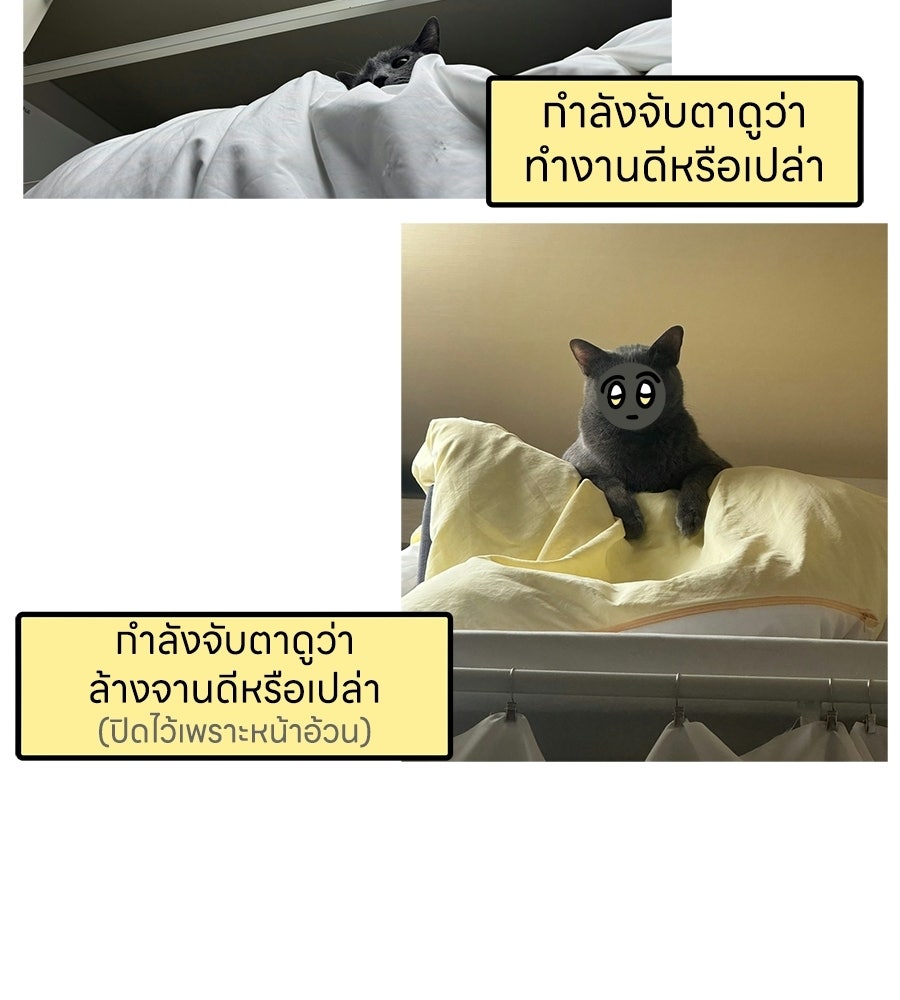 ซับโชสู้โว้ย! - หน้า 40