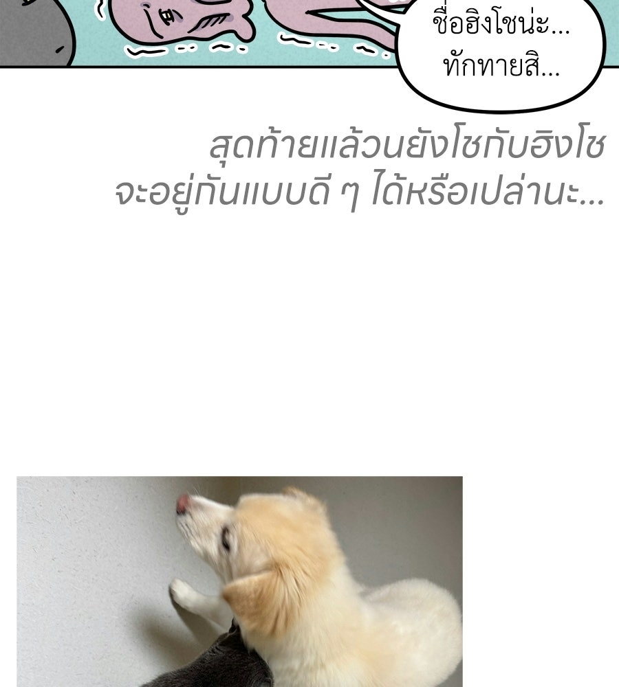 ซับโชสู้โว้ย! - หน้า 39