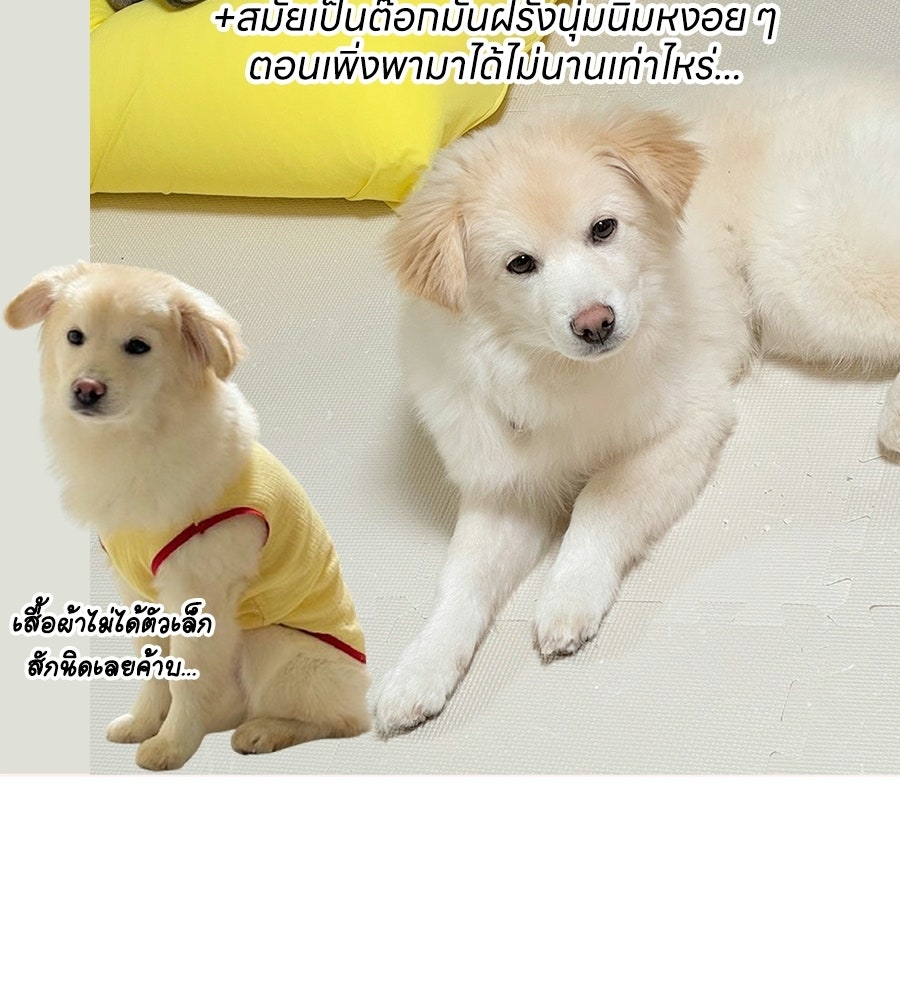 ซับโชสู้โว้ย! - หน้า 40