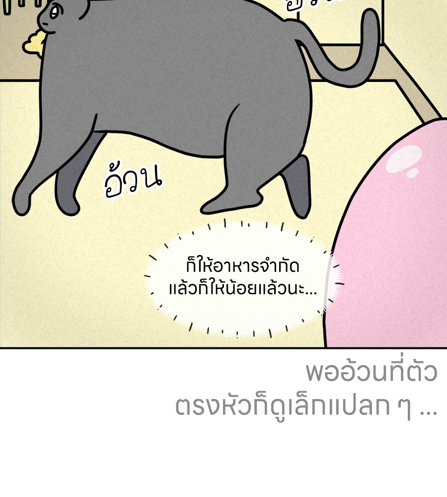 ซับโชสู้โว้ย! - หน้า 3