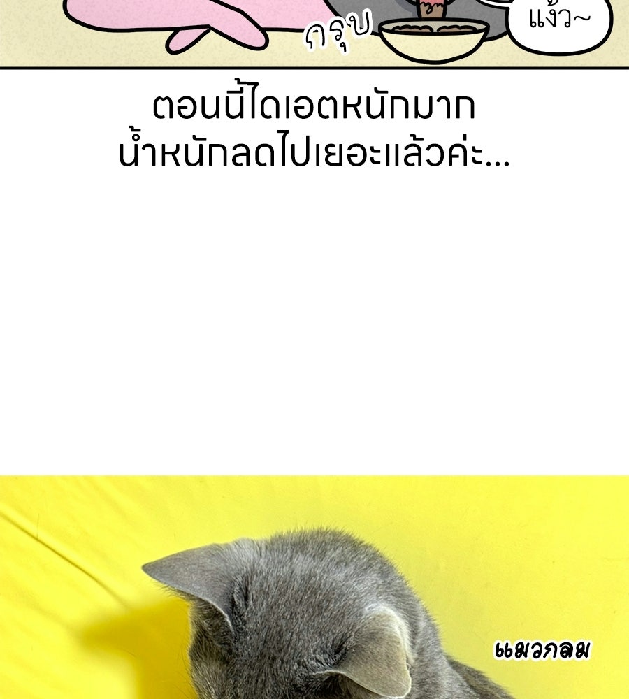 ซับโชสู้โว้ย! - หน้า 39