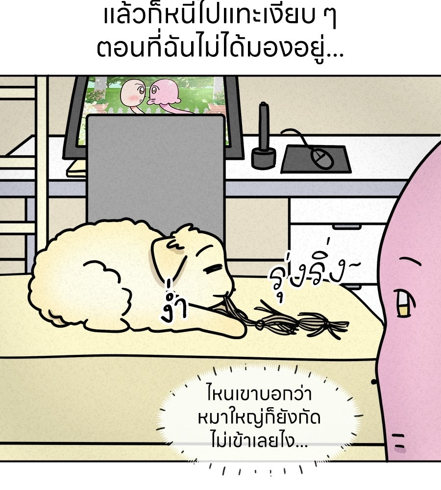 ซับโชสู้โว้ย! - หน้า 32
