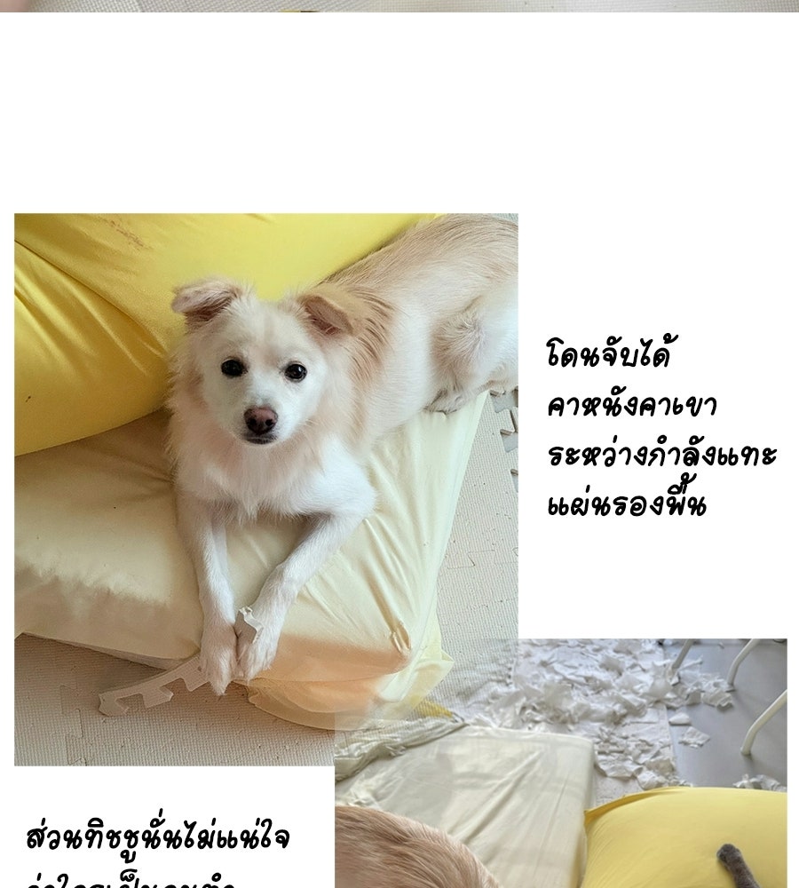 ซับโชสู้โว้ย! - หน้า 41