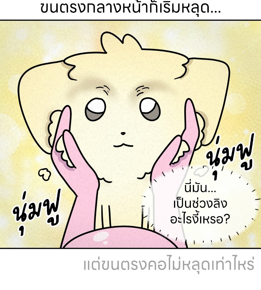 ซับโชสู้โว้ย! - หน้า 9