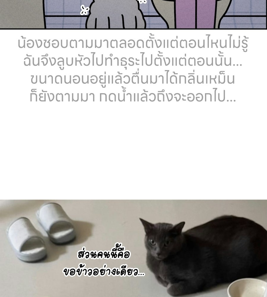 ซับโชสู้โว้ย! - หน้า 39