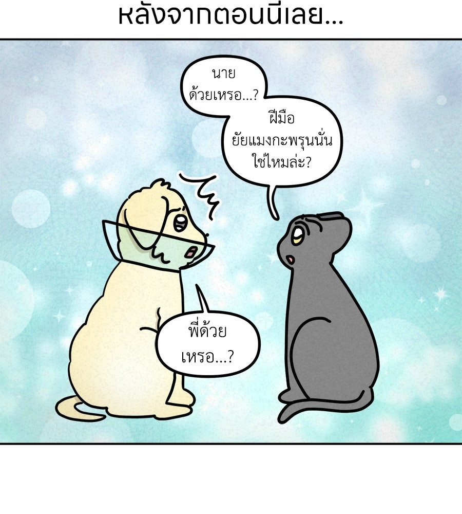 ซับโชสู้โว้ย! - หน้า 29