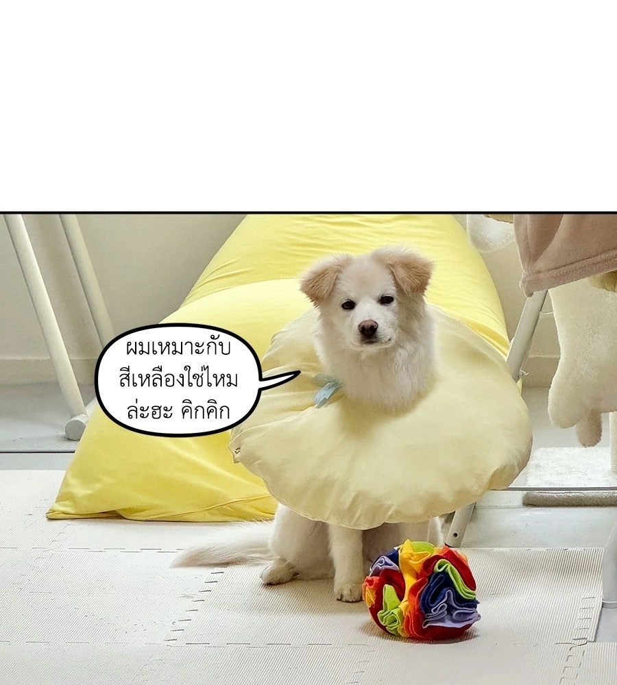 ซับโชสู้โว้ย! - หน้า 38