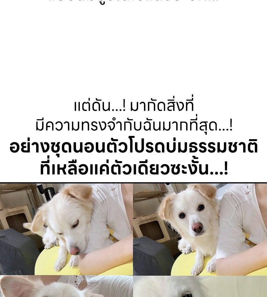 ซับโชสู้โว้ย! - หน้า 30