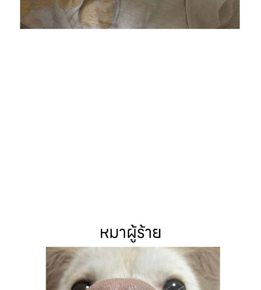 ซับโชสู้โว้ย! - หน้า 39