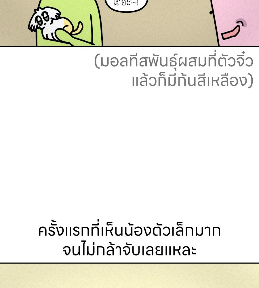 ซับโชสู้โว้ย! - หน้า 2