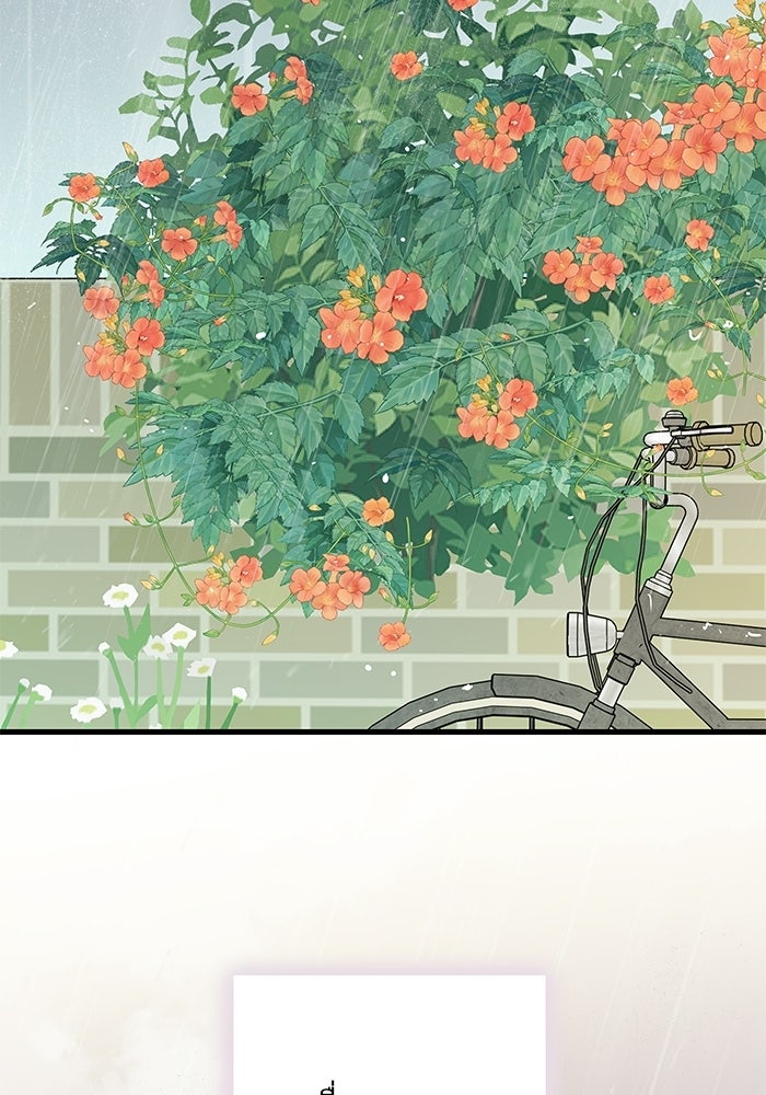 แว่วเสียงรักในฤดูร้อน (ฉบับปรับปรุง) - หน้า 25