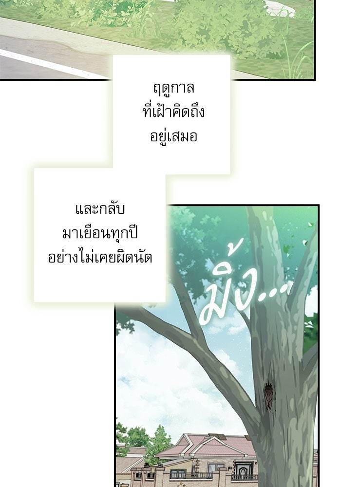 แว่วเสียงรักในฤดูร้อน (ฉบับปรับปรุง) - หน้า 4