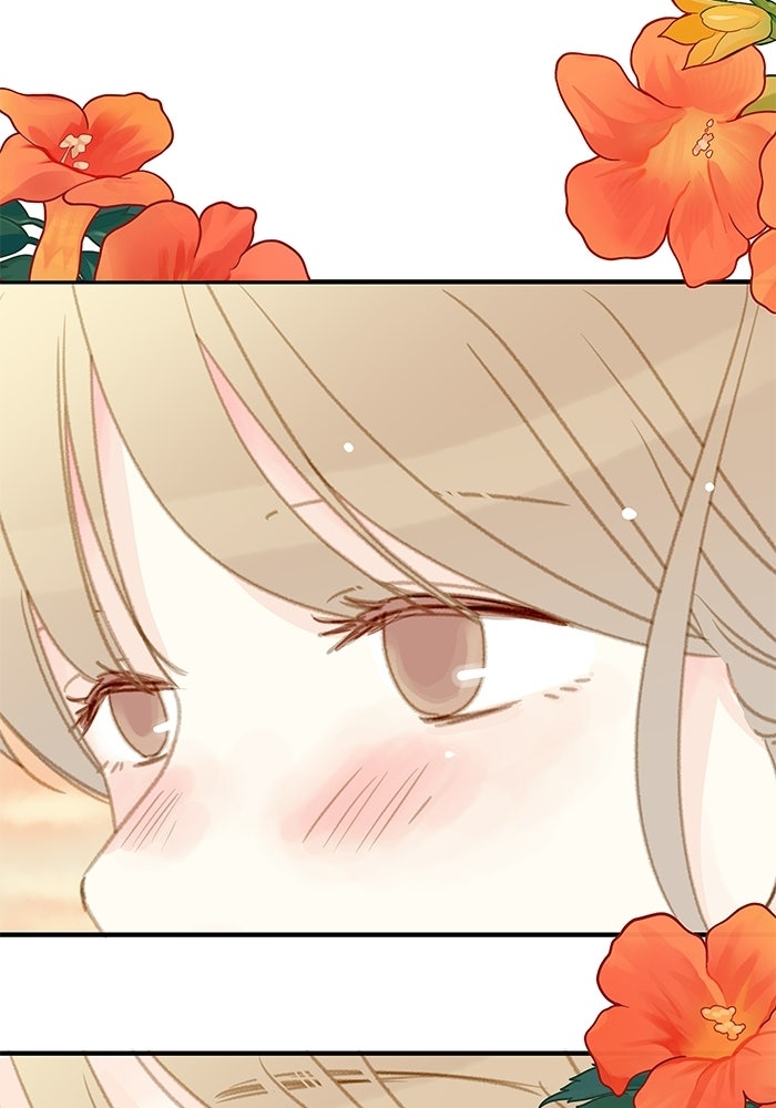แว่วเสียงรักในฤดูร้อน (ฉบับปรับปรุง) - หน้า 46