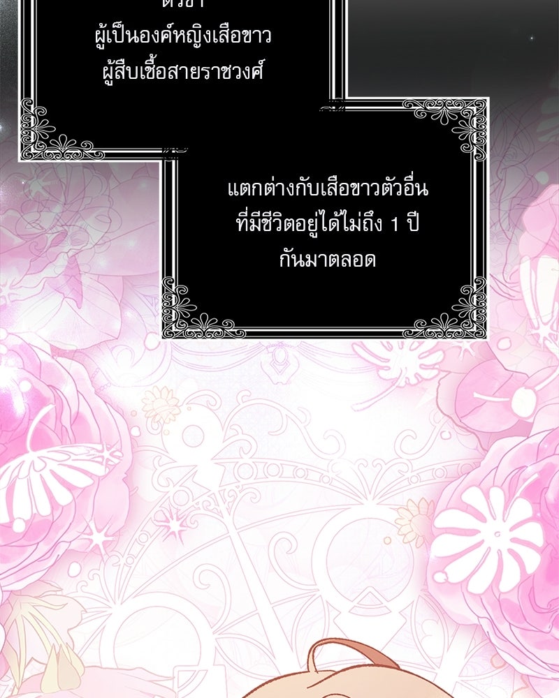 องค์หญิงเสือขาวน่ารักเกินไปแล้ว - หน้า 79
