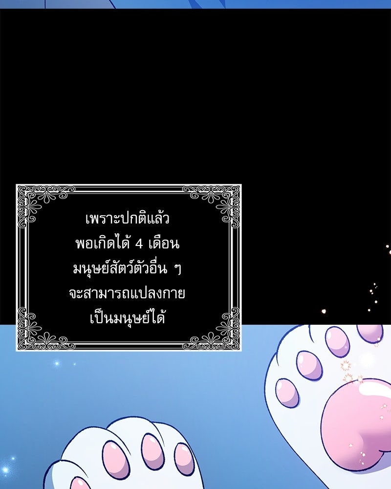 องค์หญิงเสือขาวน่ารักเกินไปแล้ว - หน้า 91