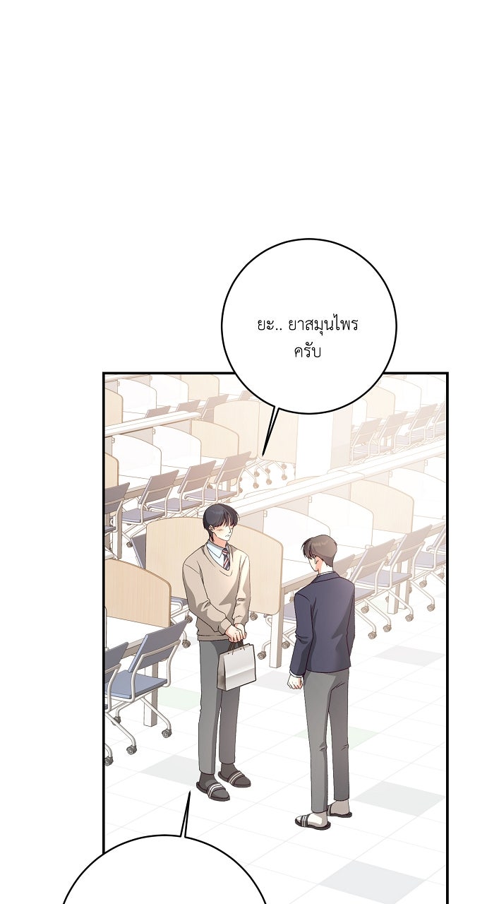 ไดอารี่เฝ้าสังเกตแดนดิไลออน - หน้า 8