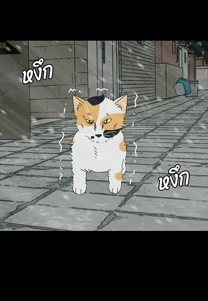 ซลในดินแดนมหัศจรรย์ - หน้า 32
