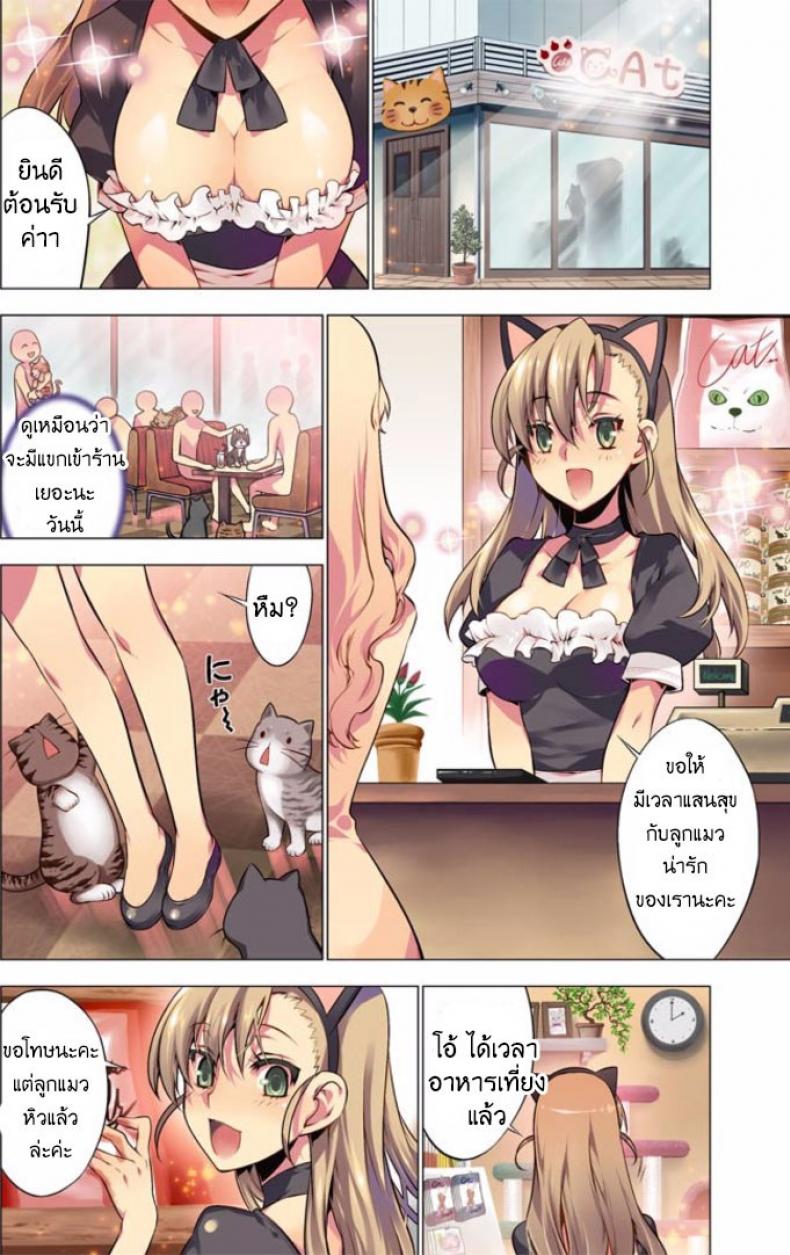 แมวคาเฟ่รุมทิ้งสาว [HB] Oh Komarino 4 - หน้า 2