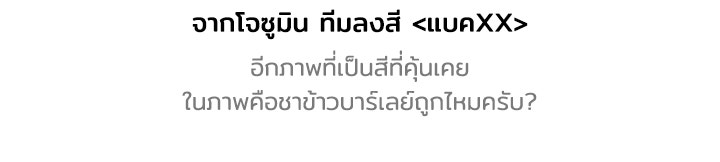 กฎเหล็กบ้านสายลับ - หน้า 20