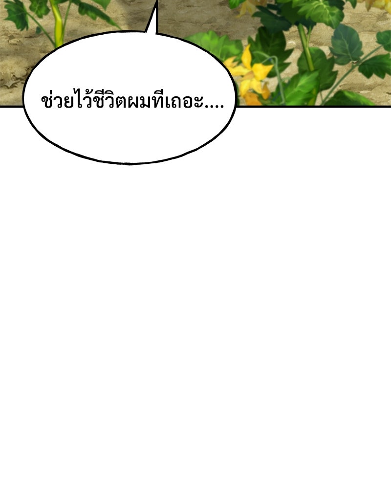 ปลูกผักพิชิตหอคอย - หน้า 14
