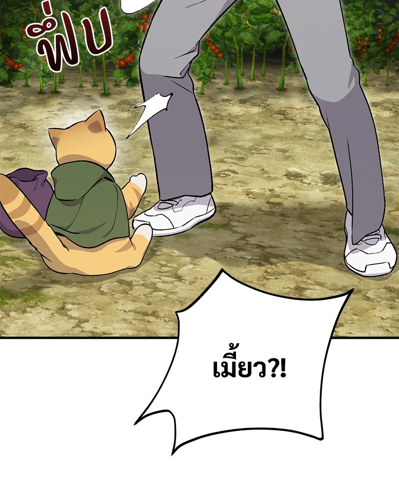 ปลูกผักพิชิตหอคอย - หน้า 12
